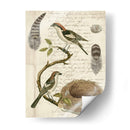 Avian Diario I - Vision Studio | Cuadro decorativo de Canvas Lab