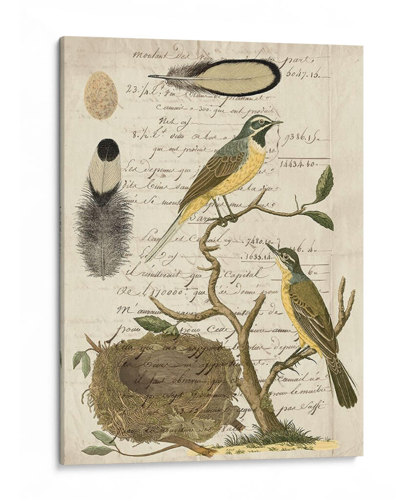 Avian Journal Ii - Vision Studio | Cuadro decorativo de Canvas Lab