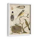 Avian Journal Ii - Vision Studio | Cuadro decorativo de Canvas Lab