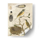 Avian Journal Ii - Vision Studio | Cuadro decorativo de Canvas Lab
