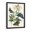 Mariposas Británicas I | Cuadro decorativo de Canvas Lab
