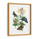 Mariposas Británicas I | Cuadro decorativo de Canvas Lab