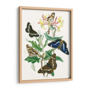 Mariposas Británicas I | Cuadro decorativo de Canvas Lab