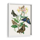 Mariposas Británicas I | Cuadro decorativo de Canvas Lab