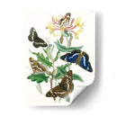 Mariposas Británicas I | Cuadro decorativo de Canvas Lab