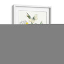 Mariposas Británicas Ii | Cuadro decorativo de Canvas Lab