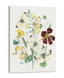 Mariposas Británicas Iv | Cuadro decorativo de Canvas Lab