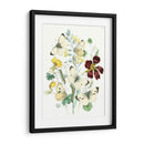 Mariposas Británicas Iv | Cuadro decorativo de Canvas Lab