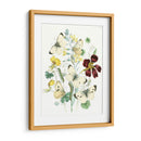 Mariposas Británicas Iv | Cuadro decorativo de Canvas Lab