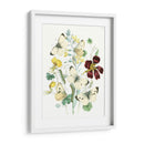 Mariposas Británicas Iv | Cuadro decorativo de Canvas Lab