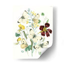 Mariposas Británicas Iv | Cuadro decorativo de Canvas Lab