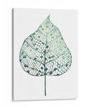 Hoja Velada I - Grace Popp | Cuadro decorativo de Canvas Lab