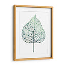 Hoja Velada I - Grace Popp | Cuadro decorativo de Canvas Lab
