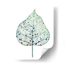 Hoja Velada I - Grace Popp | Cuadro decorativo de Canvas Lab