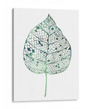 Hoja Velada Ii - Grace Popp | Cuadro decorativo de Canvas Lab