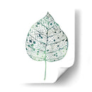 Hoja Velada Ii - Grace Popp | Cuadro decorativo de Canvas Lab