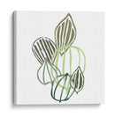 Botánico Interino I - June Erica Vess | Cuadro decorativo de Canvas Lab