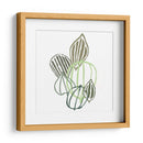 Botánico Interino I - June Erica Vess | Cuadro decorativo de Canvas Lab