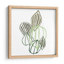 Botánico Interino I - June Erica Vess | Cuadro decorativo de Canvas Lab