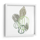 Botánico Interino I - June Erica Vess | Cuadro decorativo de Canvas Lab