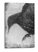 B Y W Vuelo I - Ingrid Blixt | Cuadro decorativo de Canvas Lab