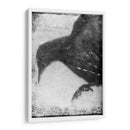 B Y W Vuelo I - Ingrid Blixt | Cuadro decorativo de Canvas Lab