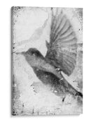 B Y W Vuelo Ii - Ingrid Blixt | Cuadro decorativo de Canvas Lab