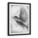 B Y W Vuelo Ii - Ingrid Blixt | Cuadro decorativo de Canvas Lab
