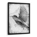B Y W Vuelo Ii - Ingrid Blixt | Cuadro decorativo de Canvas Lab