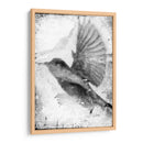 B Y W Vuelo Ii - Ingrid Blixt | Cuadro decorativo de Canvas Lab