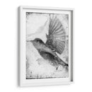 B Y W Vuelo Ii - Ingrid Blixt | Cuadro decorativo de Canvas Lab