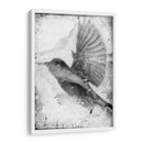 B Y W Vuelo Ii - Ingrid Blixt | Cuadro decorativo de Canvas Lab