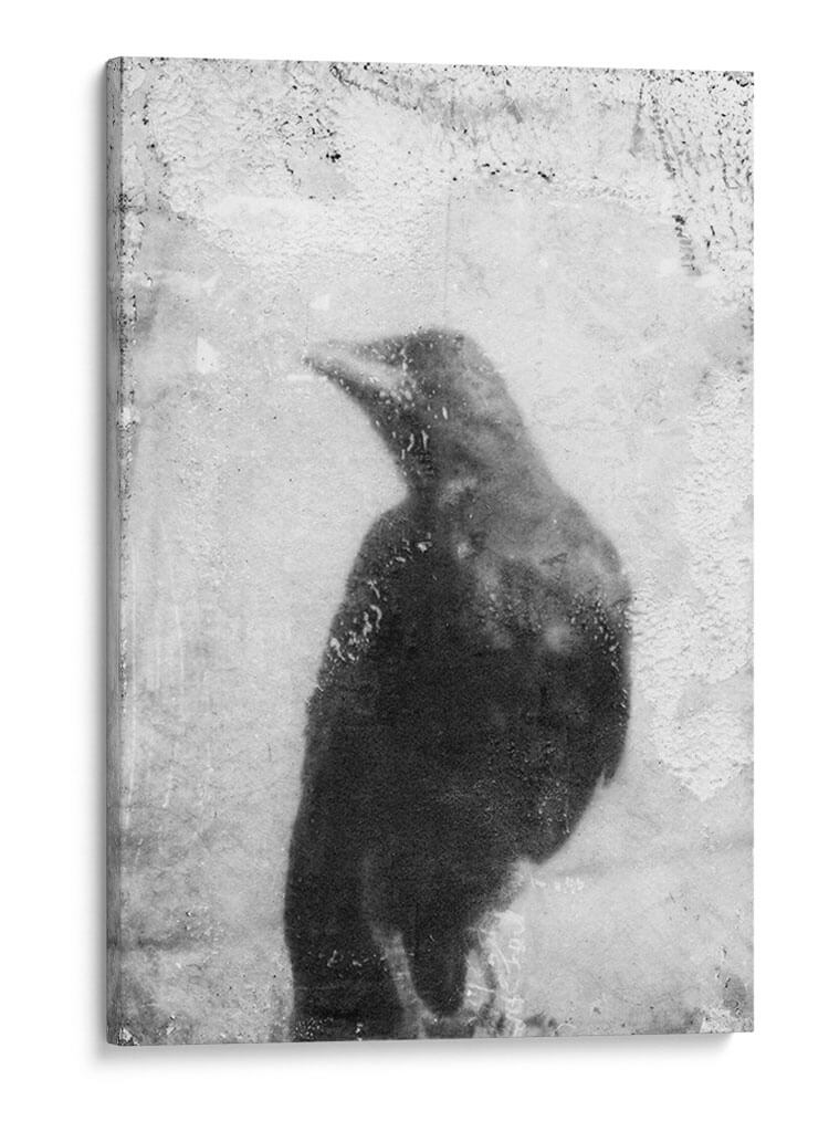 B Y W Vuelo Iii - Ingrid Blixt | Cuadro decorativo de Canvas Lab