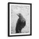 B Y W Vuelo Iii - Ingrid Blixt | Cuadro decorativo de Canvas Lab
