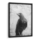 B Y W Vuelo Iii - Ingrid Blixt | Cuadro decorativo de Canvas Lab