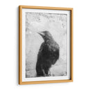 B Y W Vuelo Iii - Ingrid Blixt | Cuadro decorativo de Canvas Lab