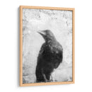 B Y W Vuelo Iii - Ingrid Blixt | Cuadro decorativo de Canvas Lab