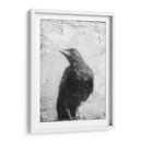 B Y W Vuelo Iii - Ingrid Blixt | Cuadro decorativo de Canvas Lab