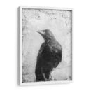 B Y W Vuelo Iii - Ingrid Blixt | Cuadro decorativo de Canvas Lab