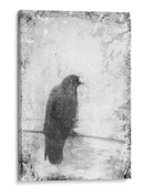 Vuelo B Y W Vi - Ingrid Blixt | Cuadro decorativo de Canvas Lab