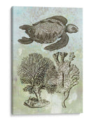 Tortuga Marina Submarina I - Vision Studio | Cuadro decorativo de Canvas Lab