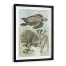 Tortuga Marina Submarina I - Vision Studio | Cuadro decorativo de Canvas Lab