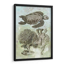 Tortuga Marina Submarina I - Vision Studio | Cuadro decorativo de Canvas Lab