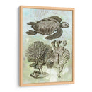Tortuga Marina Submarina I - Vision Studio | Cuadro decorativo de Canvas Lab