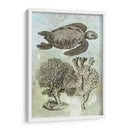 Tortuga Marina Submarina I - Vision Studio | Cuadro decorativo de Canvas Lab