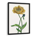 Flor De Amapola I - Melissa Wang | Cuadro decorativo de Canvas Lab