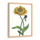 Flor De Amapola I - Melissa Wang | Cuadro decorativo de Canvas Lab