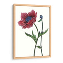 Flor De Amapola Ii - Melissa Wang | Cuadro decorativo de Canvas Lab