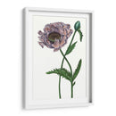 Flor De Amapola Iv - Melissa Wang | Cuadro decorativo de Canvas Lab
