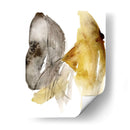 Calendula I - Melissa Wang | Cuadro decorativo de Canvas Lab